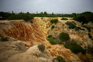 IMG_6754.jpg