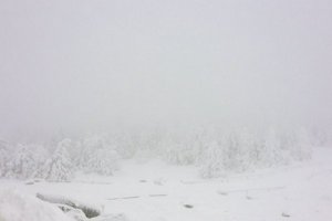 IMG_2873.jpg