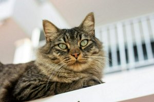 IMG_6374.jpg