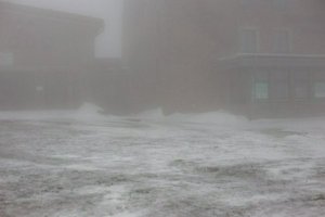 IMG_1346.jpg