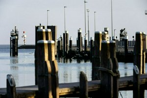 IMG_6400.jpg