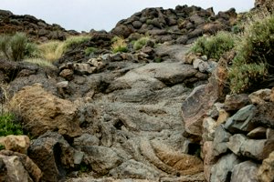 IMG_5721.jpg