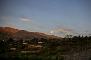IMG_3702.jpg