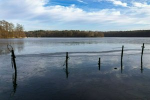 IMG_4066.jpg