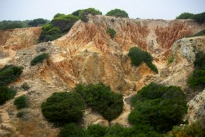 IMG_6885.jpg