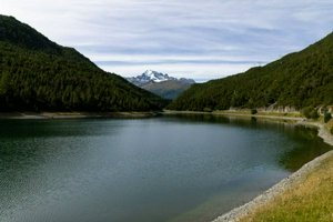 IMG_2045.jpg