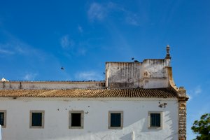 IMG_6977.jpg
