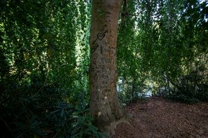 IMG_5644.jpg