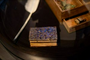 IMG_1345.jpg