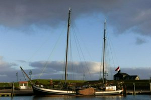 IMG_8446.jpg