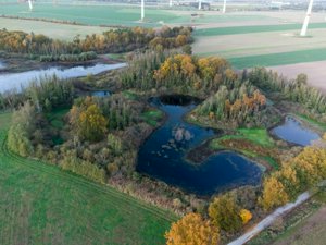 DJI_0262.jpg