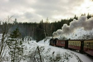 IMG_2449.jpg