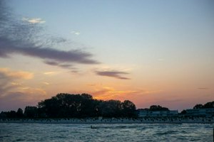 IMG_8922.jpg