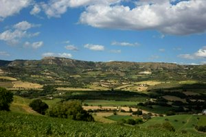 IMG_9999.jpg