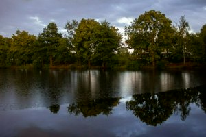 IMG_7878.jpg