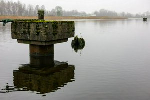 IMG_1980.jpg