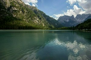 IMG_6217.jpg