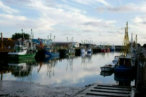 IMG_6931.jpg