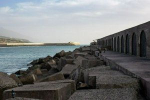 IMG_3583.jpg