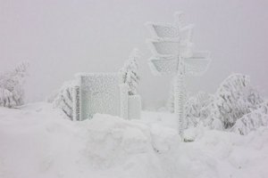IMG_2693.jpg