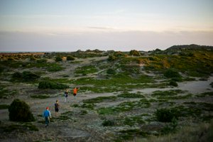 IMG_7493.jpg