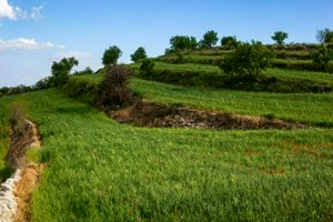 IMG_0012.jpg