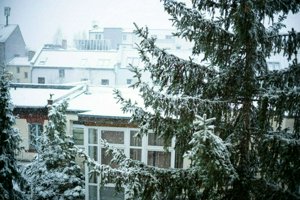 IMG_0179.jpg