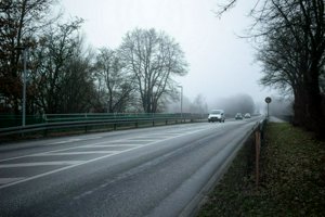 IMG_1025.jpg