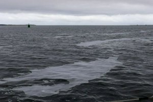 IMG_1995.jpg