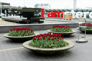 IMG_9910.jpg