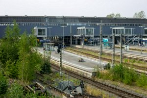 IMG_8981.jpg