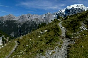 IMG_1798.jpg