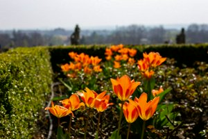 IMG_8014.jpg