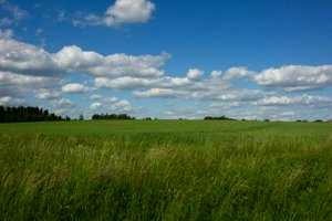 IMG_9155.jpg