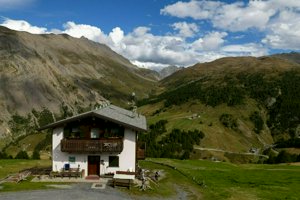 IMG_0809.jpg