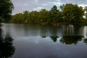 IMG_7865.jpg