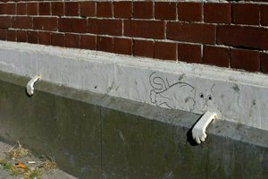 IMG_4725.jpg