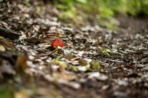 IMG_5303.jpg