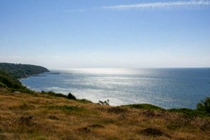 IMG_3486.jpg