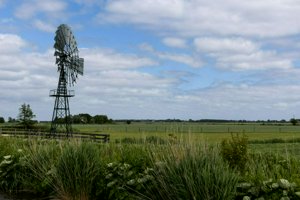 IMG_9078.jpg