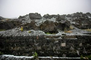 IMG_0210.jpg