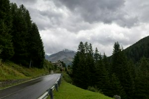IMG_0973.jpg