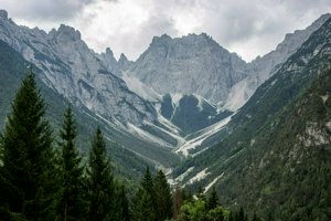 IMG_6566.jpg