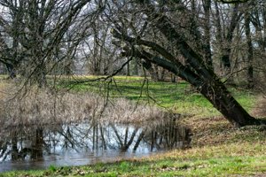 IMG_7259.jpg