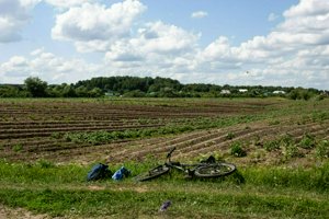 IMG_2771.jpg