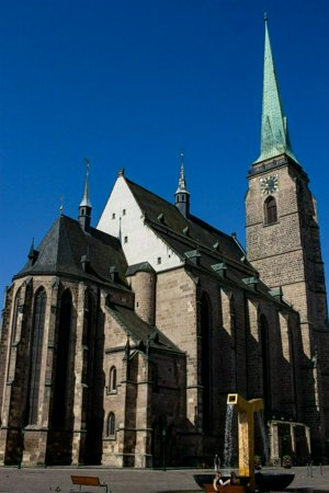 IMG_9308.jpg