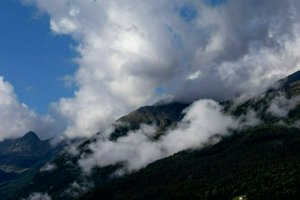 IMG_0888.jpg