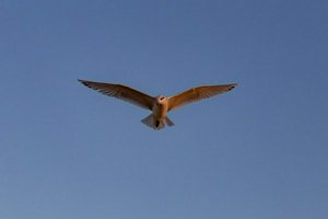 IMG_6207.jpg