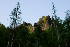 IMG_1187.jpg