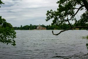 IMG_6244.jpg
